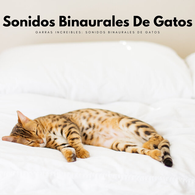 Garras Increibles: Sonidos Binaurales De Gatos