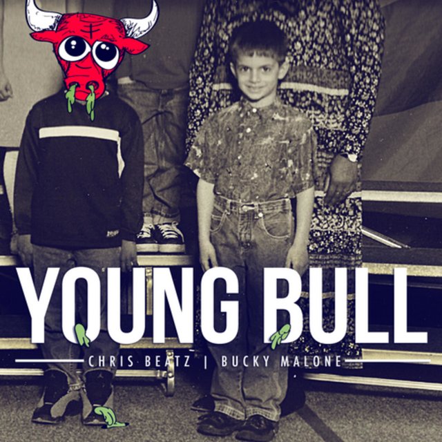 Young Bull