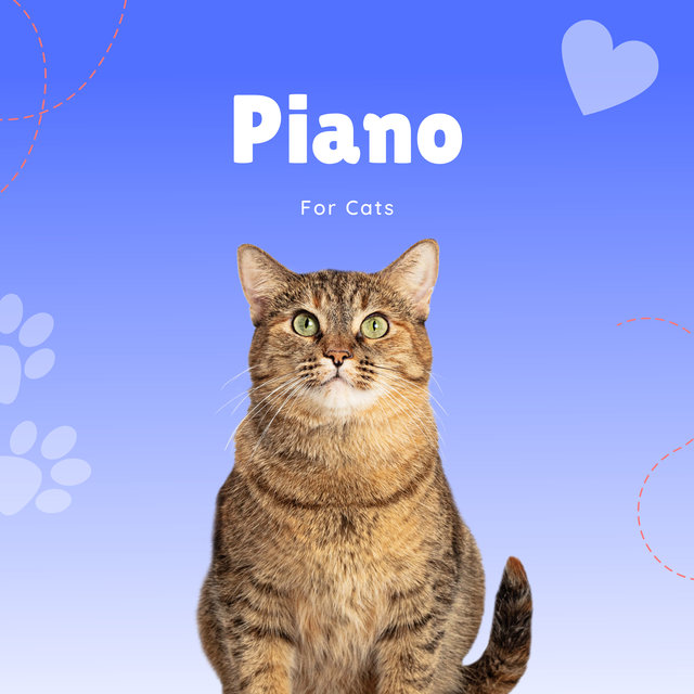 Piano For Cats