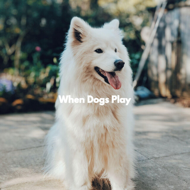 When Dogs Play