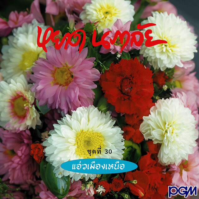 ชุดที่ 30 แอ่วเมืองเหนือ