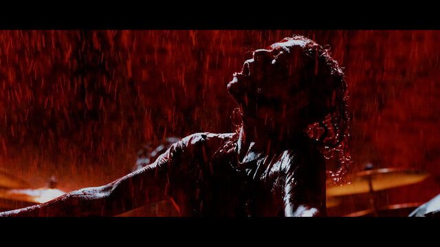 Prison of Flesh (official video)