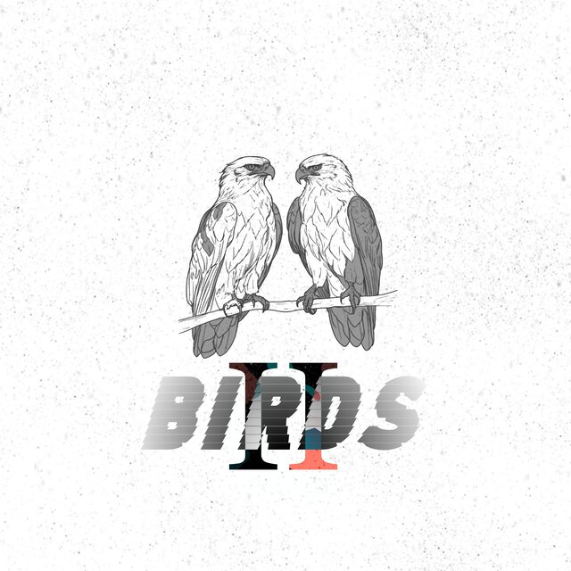 Birds II