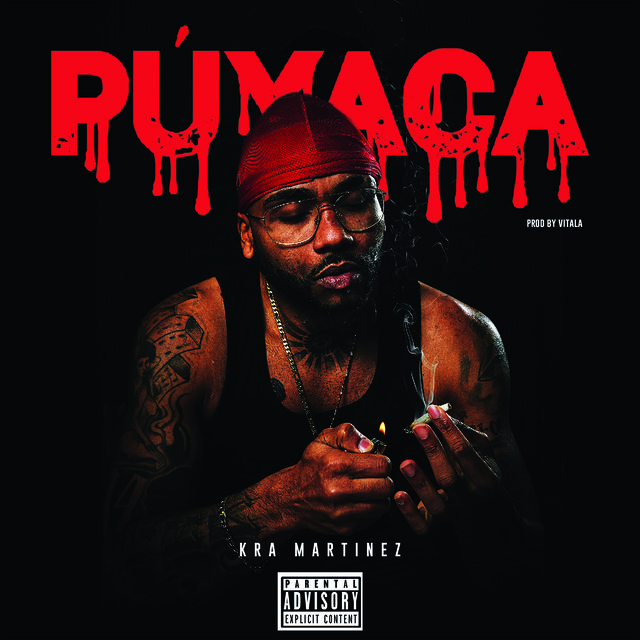 Puyaca