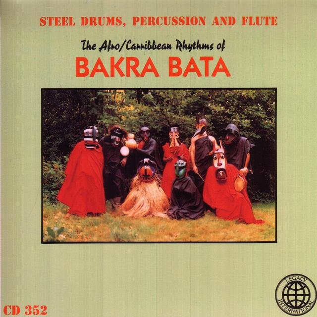 Steel Drums, Percussion and Flute