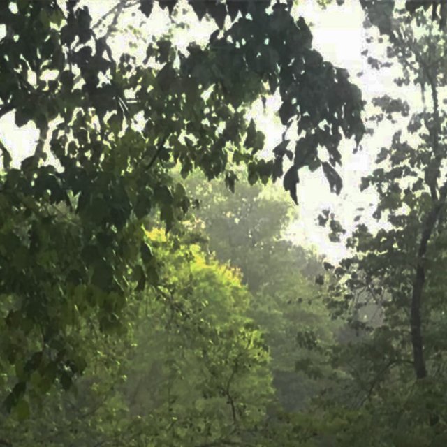 Natureza Etérea
