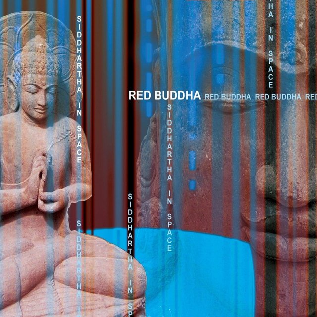 Siddhartha In Space