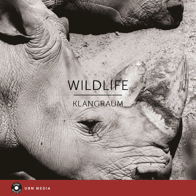 Wildlife