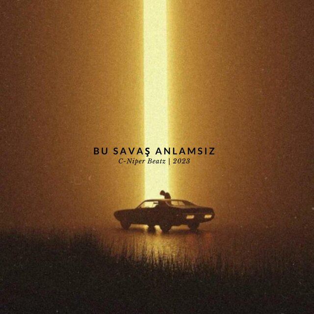 Bu Savaş Anlamsız