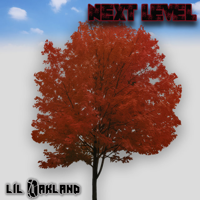 Next Level (Radio Version)