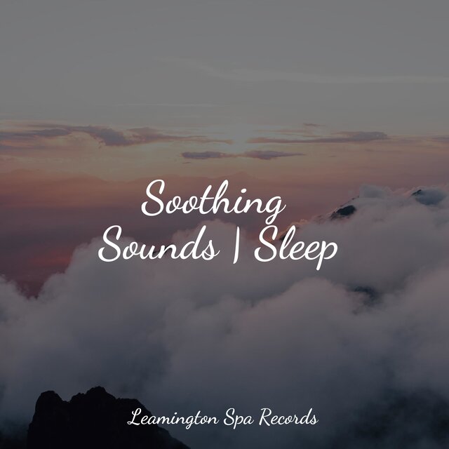 Soothing Sounds | Sleep