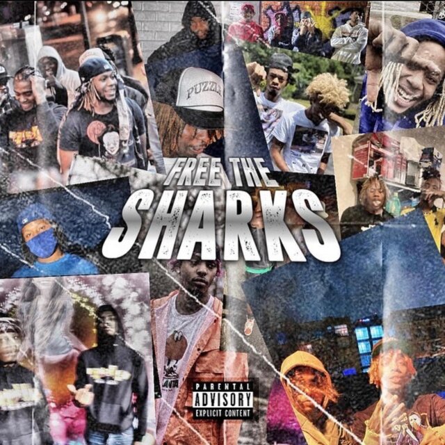 Free The Sharks