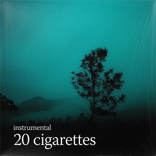 20 cigarettes (no/vox’s version)