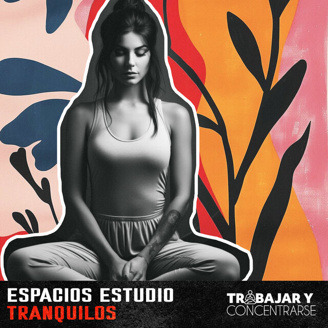 Espacios Estudio Tranquilos
