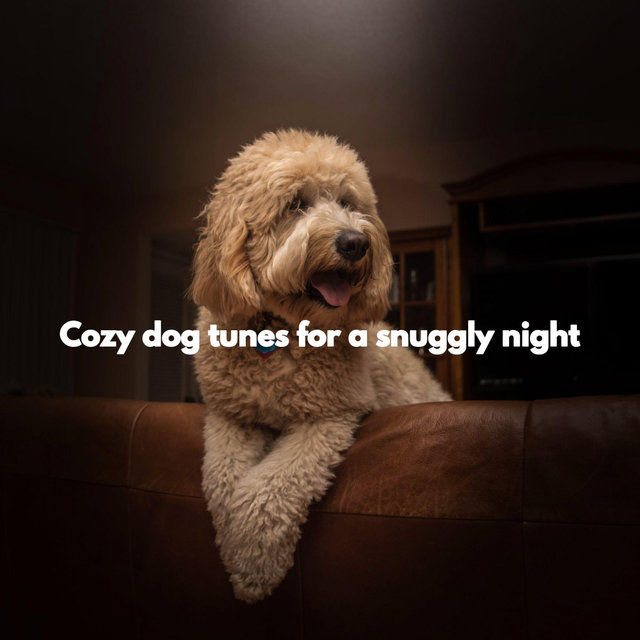 Cozy dog tunes for a snuggly night
