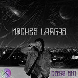 Noches Largas