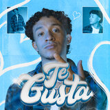 TE GUSTA
