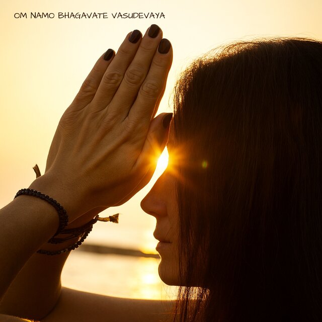 Om Namo Bhagavate Vasudevaya
