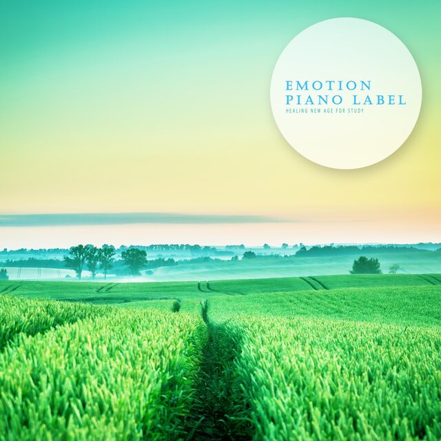 Meditation New Age Collection