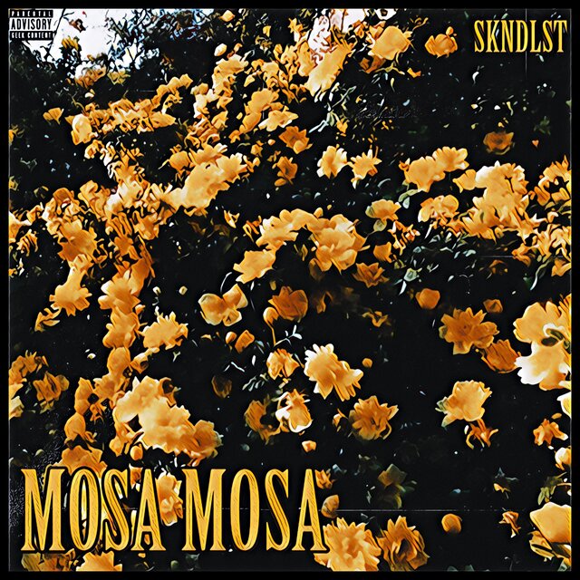 Mosa Mosa