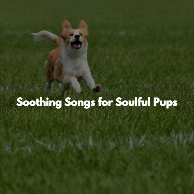 Soothing Songs for Soulful Pups