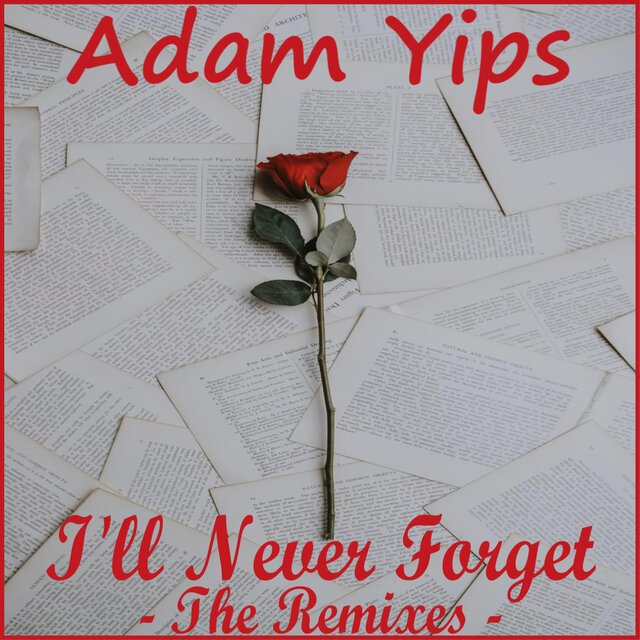I'll Never Forget (The Remixes)