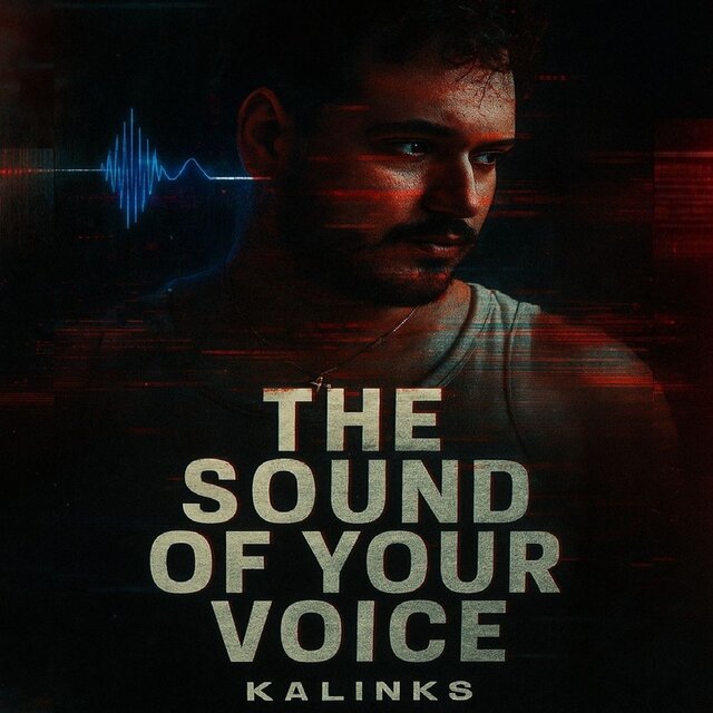 The Sound of Your Voice