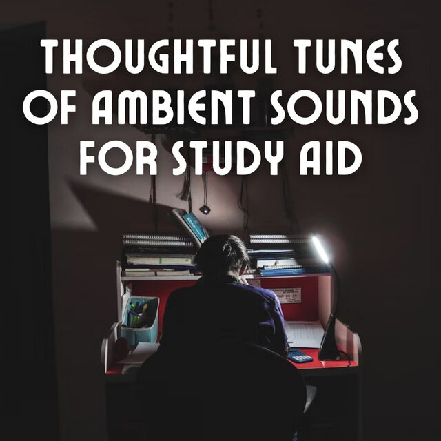 Thoughtful Tunes of Ambient Sounds for Study Aid