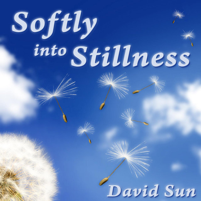 Softly Into Stillness