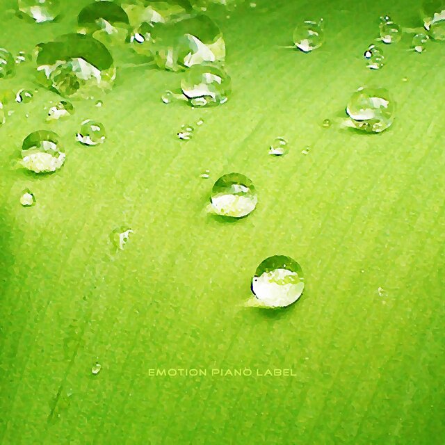 Like Dawn Dew