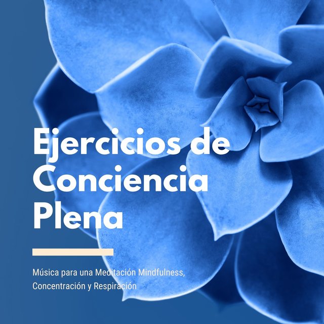 Ejercicios de Conciencia Plena: Música para una Meditación Mindfulness, Concentración y Respiración