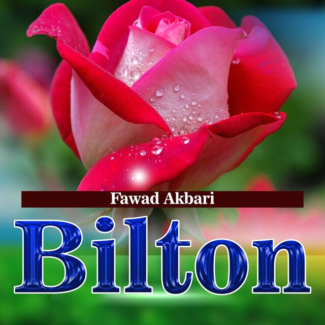 Bilton