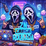 Zn Carga Roubada