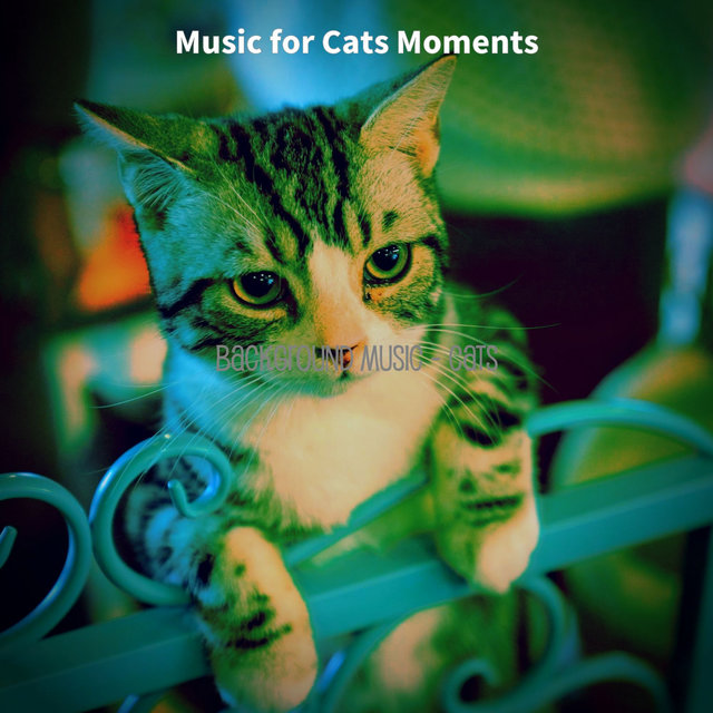 Background Music - Cats