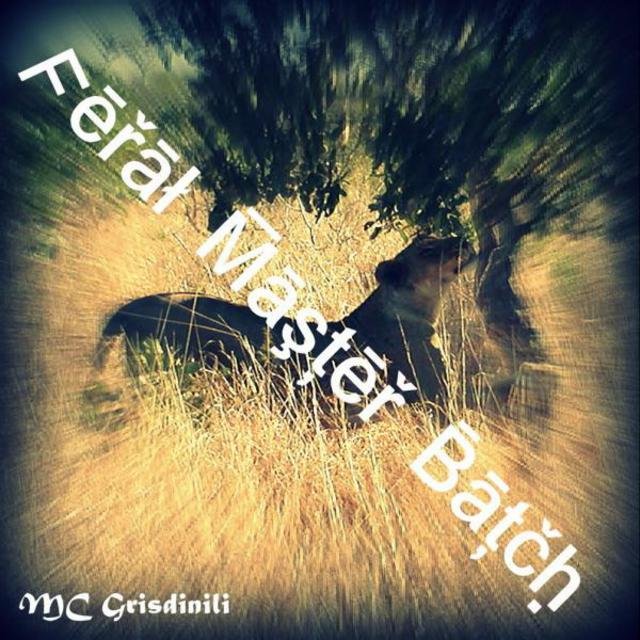 Feral Master Batch
