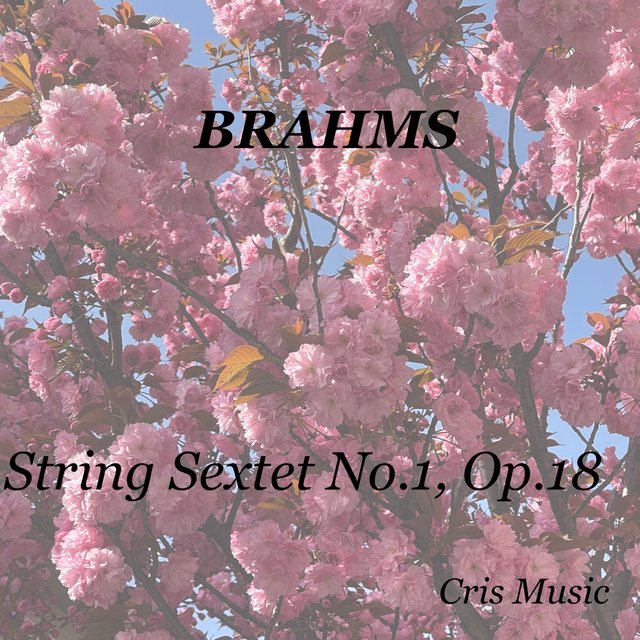 Brahms: String Sextet No.1, Op.18