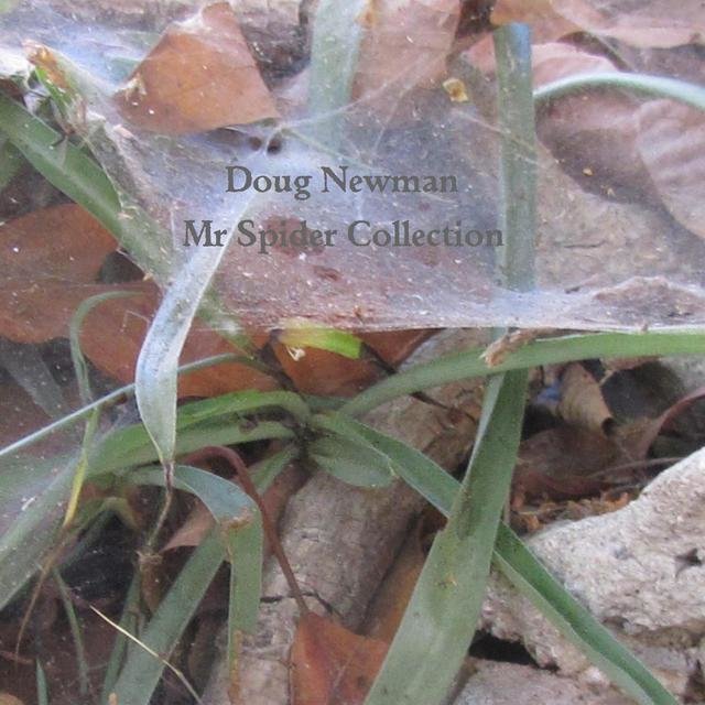 Mr Spider Collection - from "Bugs and Critters"