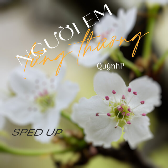 Người Em Từng Thương (Sped Up)