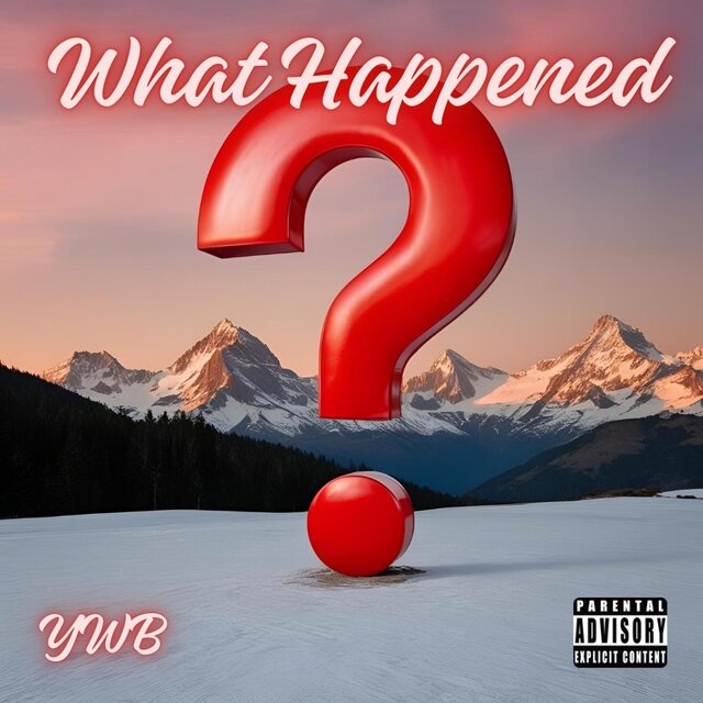 What Happened?