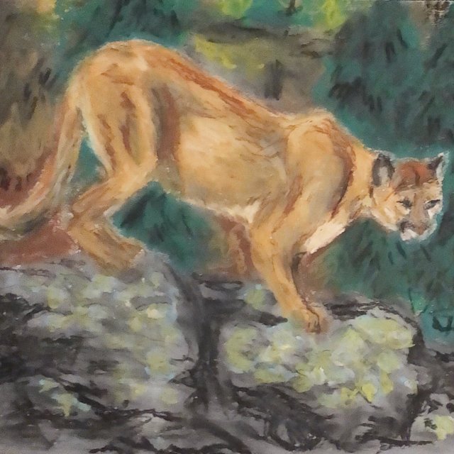 Year of the Mountain Lion