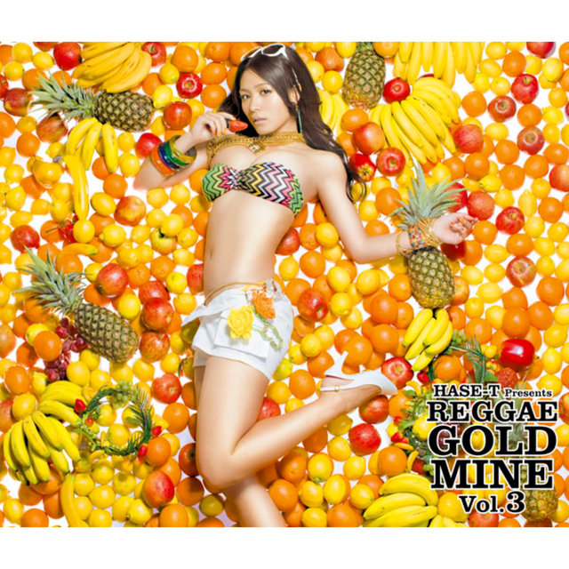 Hase-T Presents Reggae Gold Mine Vol.3 (24 Tracks Edition)
