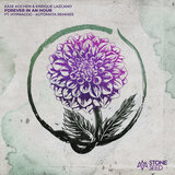Forever In An Hour (Hypnagog Remix)