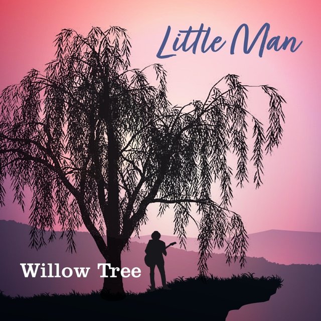 Willow Tree