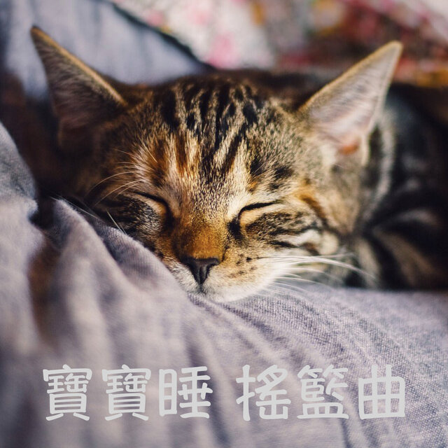 寶寶搖籃曲：搖籃曲、寶寶睡、寶寶水晶音樂、兒童、放鬆、輕鬆聆聽
