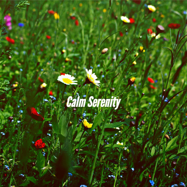 Calm Serenity