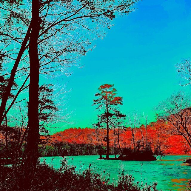 Palisades