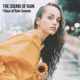 1 Hour of Rain Sounds