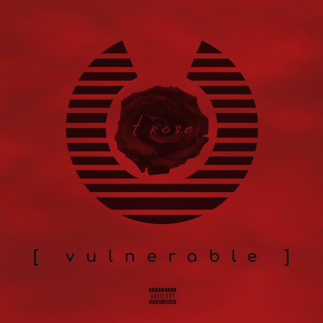 Vulnerable
