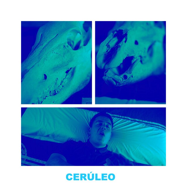 Freestyle - CERÚLEO