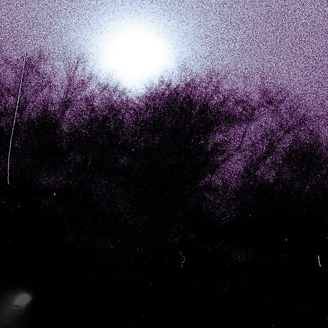 Surely Be The Night